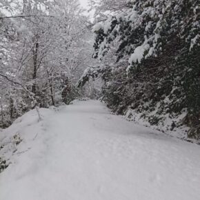 IMG_20240113_142006 